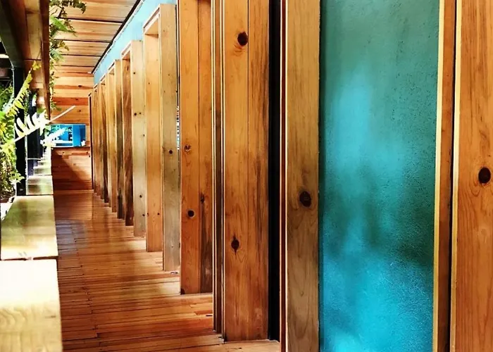 Mexico Hostel Guest house