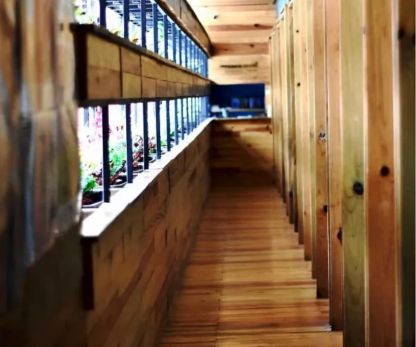 Mexico Hostel *
